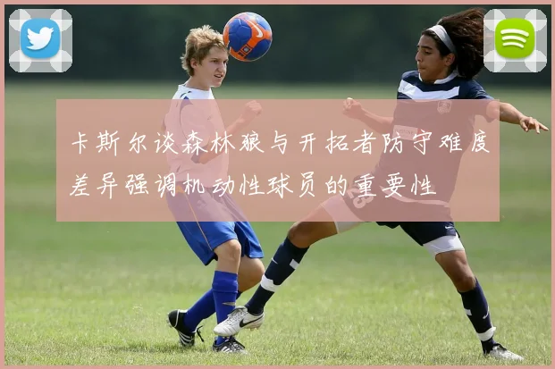 卡斯尔谈森林狼与开拓者防守难度差异强调机动性球员的重要性