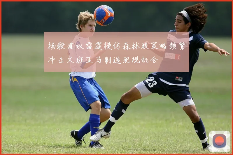 杨毅建议雷霆模仿森林狼策略频繁冲击文班亚马制造犯规机会